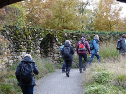 2019-11-17 Val Maubuée au fil de l'eau par Jacques