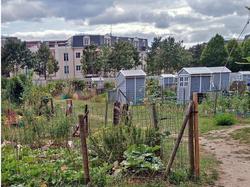 2020-08-24 Rando à Emerainville par Françoise