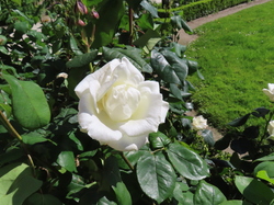 Alençon et la forêt d'Ecouves par Jacques