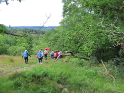 Alençon et la forêt d'Ecouves par Jacques