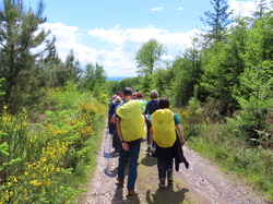 Alençon et la forêt d'Ecouves par Jacques