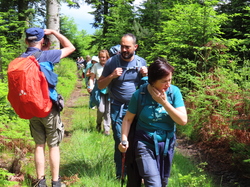 Alençon et la forêt d'Ecouves par Jacques