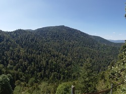 Au pays des Ballons par Richard