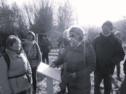 Auvers-Valmondois par Jacques