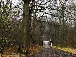 Balade dans l'Arc Boisé  au départ de Boissy Saint Léger par Sylvie