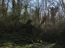 Béthisy Saint-Pierre par Sylvie