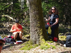 Bitche: Etang de Hanau par Jacques