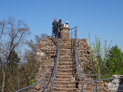 Bitche: Etang de Hanau par Jacques