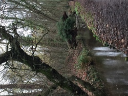 Bois de Vincennes par Sylvie