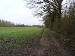 Borest-Fontaine Chaalis-Montepilloy-Mont l'évêque