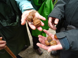 Boucle de la Marne et forêt de Vallières