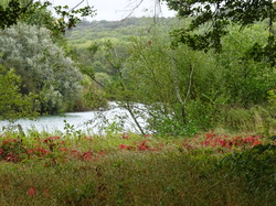 Boucle de la Marne et forêt de Vallières