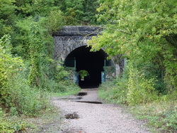 Boucle de la Marne et forêt de Vallières