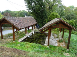 Boucle de la Marne et forêt de Vallières