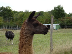 Boucle de la Marne et forêt de Vallières