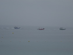 Bretagne 03: Douarnenez