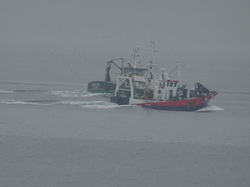 Bretagne 03: Douarnenez