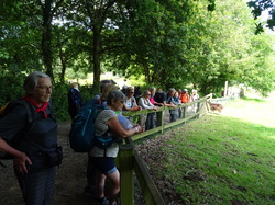 Bretagne 03: Douarnenez