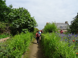 Bretagne 03: Douarnenez