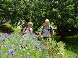 Bretagne 03: Douarnenez