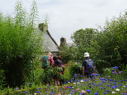 Bretagne 03: Douarnenez