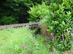 Bretagne 02: Pont Coblant