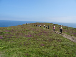 Bretagne 4: la pointe du Van