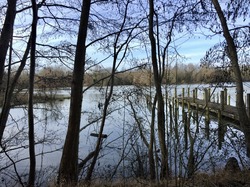 Bussy-Neuilly par Sylvie