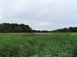 Bénodet  Sainte Marine par Jacques