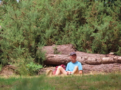 Bénodet  Sainte Marine par Jacques