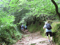 Bénodet  Sainte Marine par Jacques
