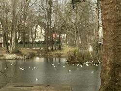 Clichy et les trois clochers par Sylvie