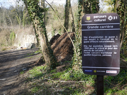 Coubron - Forêt de Bondy par Françoise
