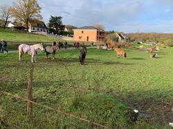 Coubron - Le Pin par Maria