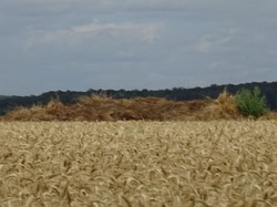 Crouy sur Ourcq par Jacques