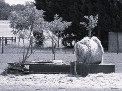 Crouy sur Ourcq par Jacques