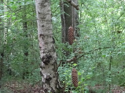 Crouy sur Ourcq par Jacques