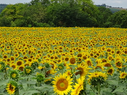 Crouy sur Ourcq par Jacques