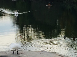 D'un moulin à l'autre par Sylvie