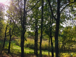 D'un moulin à l'autre par Sylvie