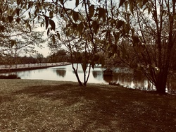 De la Marne à la Dhuys