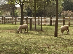 De la Marne à la Dhuys