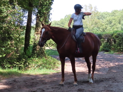 De Senlis à Chantilly