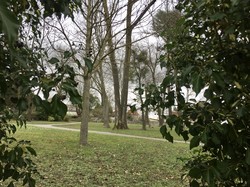 Découverte de Villiers sur Marne par Sylvie