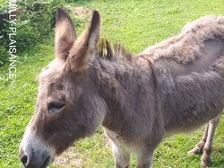 Dordogne 3ème étape par Richard