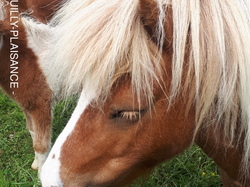 Dordogne 4ème étape par Richard