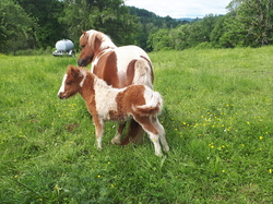 Dordogne 4ème étape par Richard