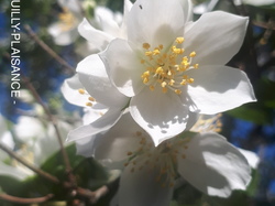 Dordogne 9ème étape par Richard