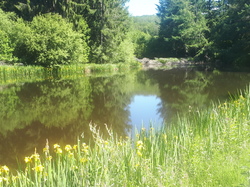 Dordogne 9ème étape par Richard