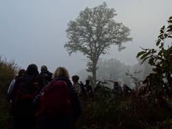 En forêt d'Ermenonville par Jacques